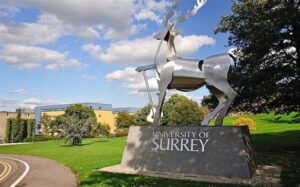 The Marquee, University of Surrey